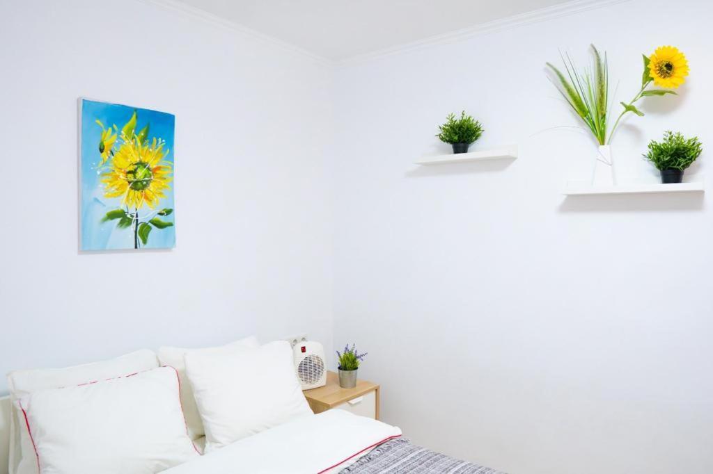 Apartament Sollana 18 Walencja Zewnętrze zdjęcie